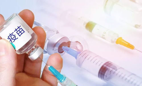 宠物疫苗接种禁忌症