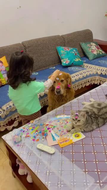 幼儿与宠物